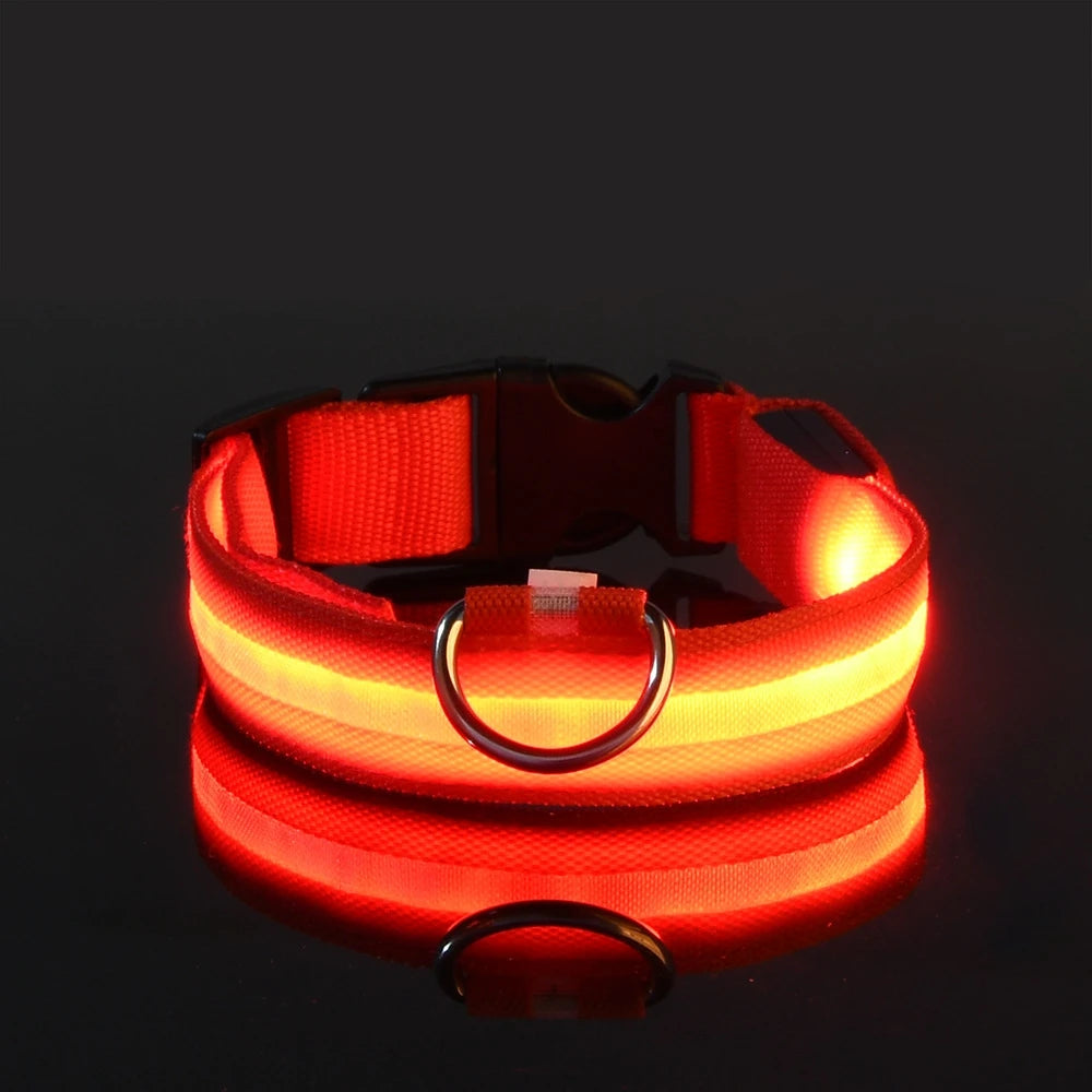 LED Dog Collar – Light-Up Night Safety Collar, Adjustable Nylon (XS–XL)