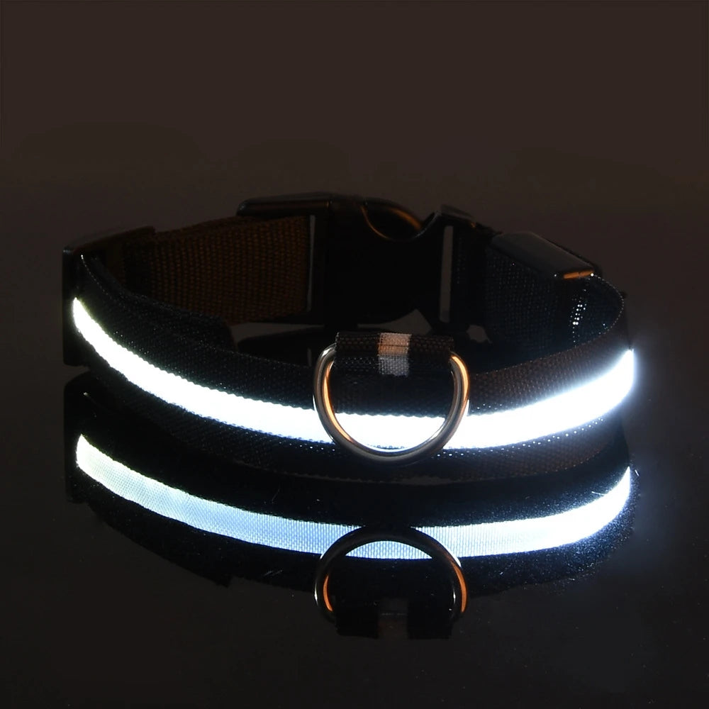 LED Dog Collar – Light-Up Night Safety Collar, Adjustable Nylon (XS–XL)