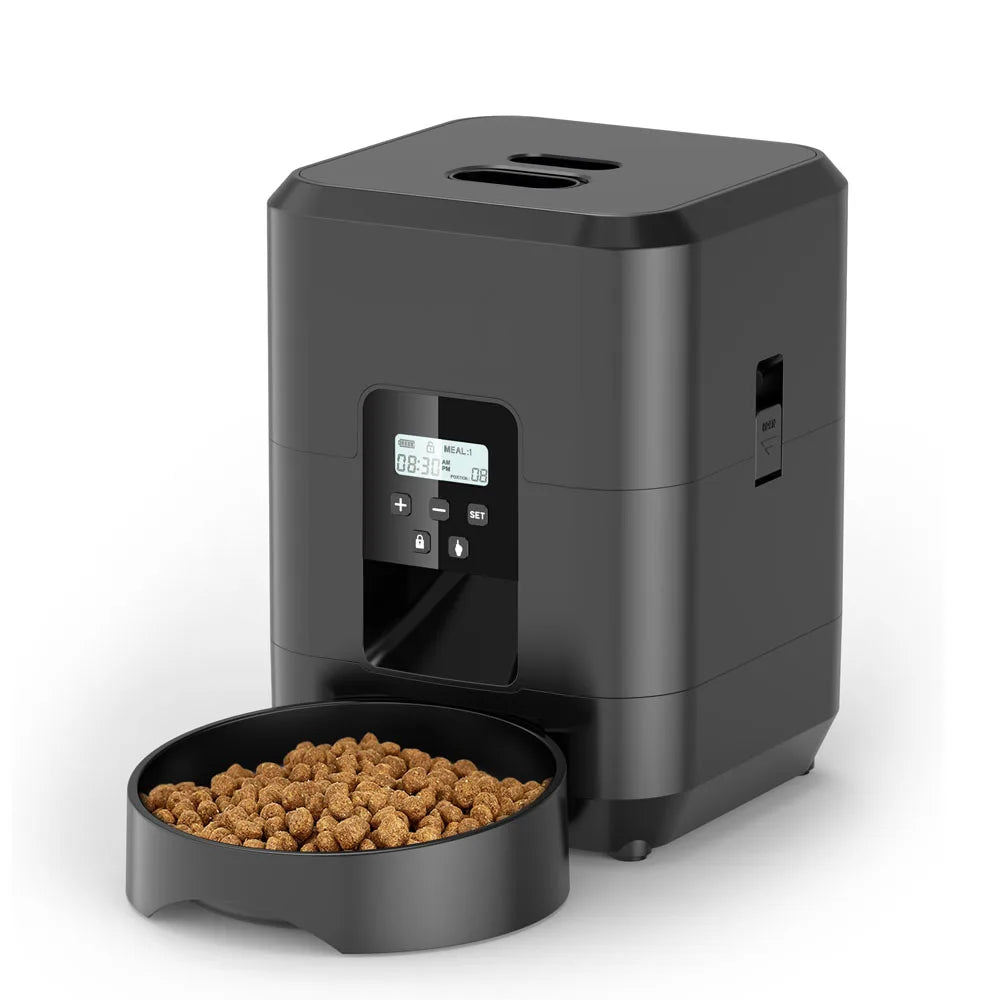 Black button-model automatic pet feeder with LCD timer and food bowl