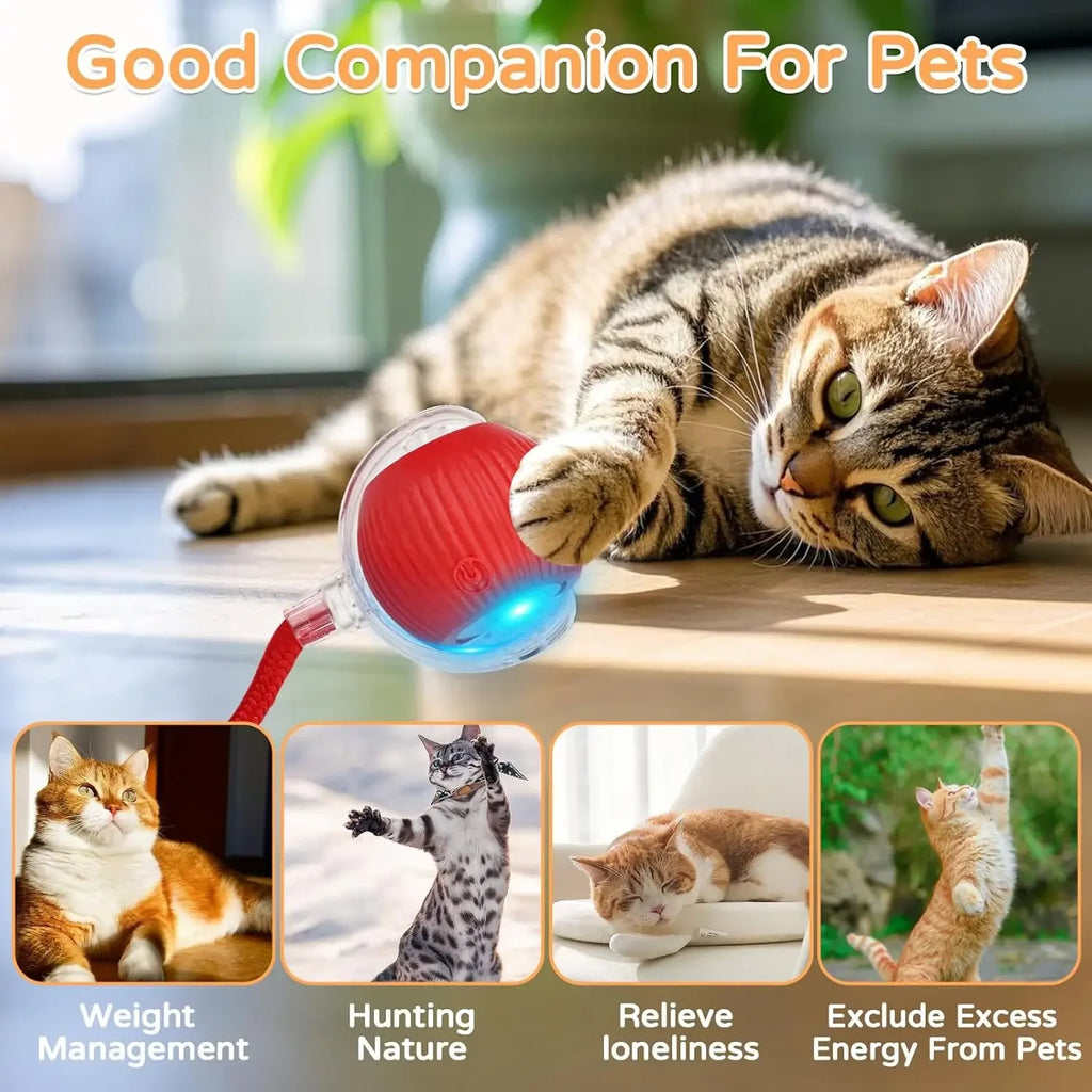 Interactive Cat Ball Toy – Rechargeable Self-Rolling Ball with Tail (1 & 2 Pack)