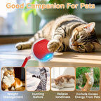 Interactive Cat Ball Toy – Rechargeable Self-Rolling Ball with Tail (1 & 2 Pack)