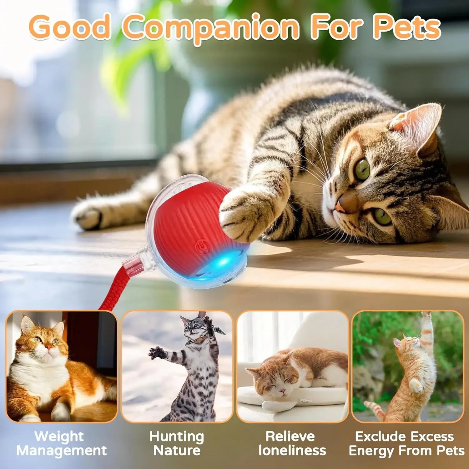 Interactive Cat Ball Toy – Rechargeable Self-Rolling Ball with Tail (1 & 2 Pack)