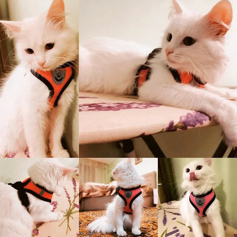 Cat Harness & Leash Set – Escape-Resistant Breathable Mesh Vest for Cats & Small Dogs