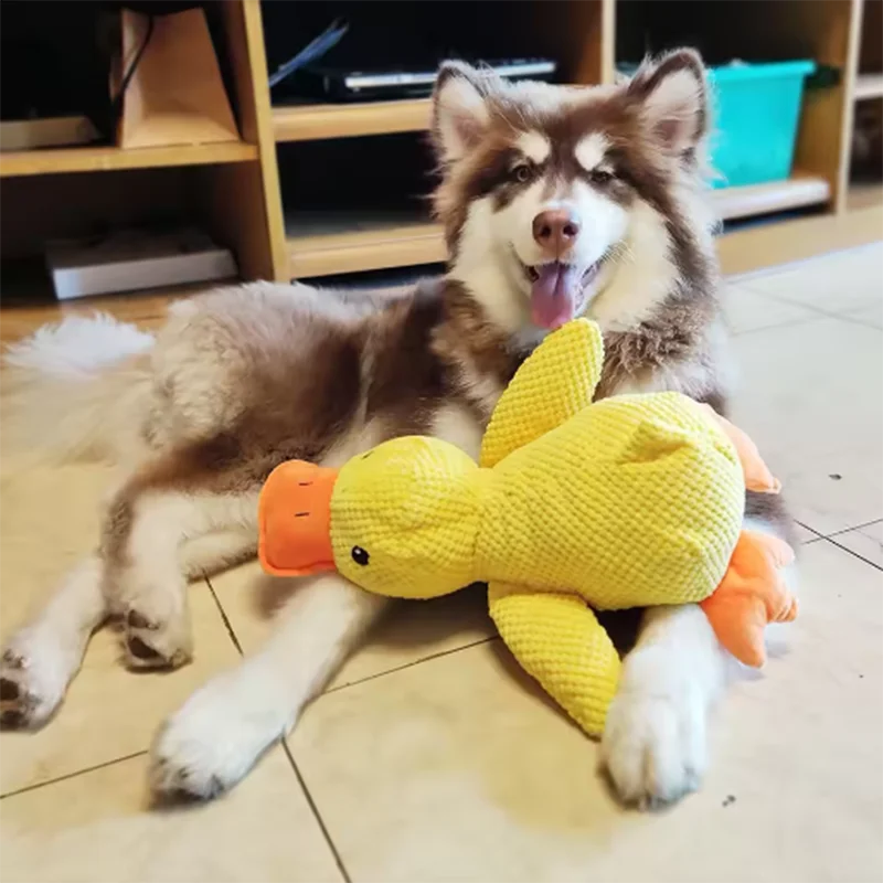 Plush Duck Dog Toy with Squeaker – Soft Cuddle & Comfort Toy (S/M/L)