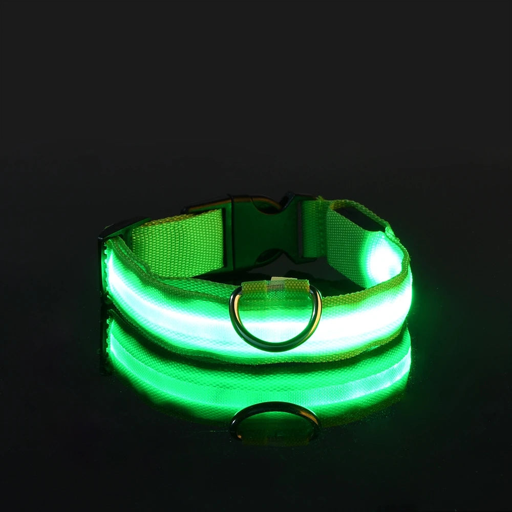 LED Dog Collar – Light-Up Night Safety Collar, Adjustable Nylon (XS–XL)