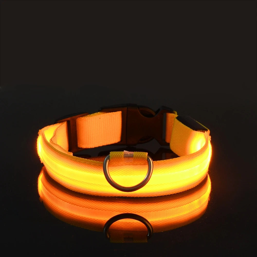 LED Dog Collar – Light-Up Night Safety Collar, Adjustable Nylon (XS–XL)