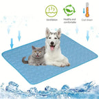 Husky dog and cat lying on blue cooling mat with ventilation and cool-down icons