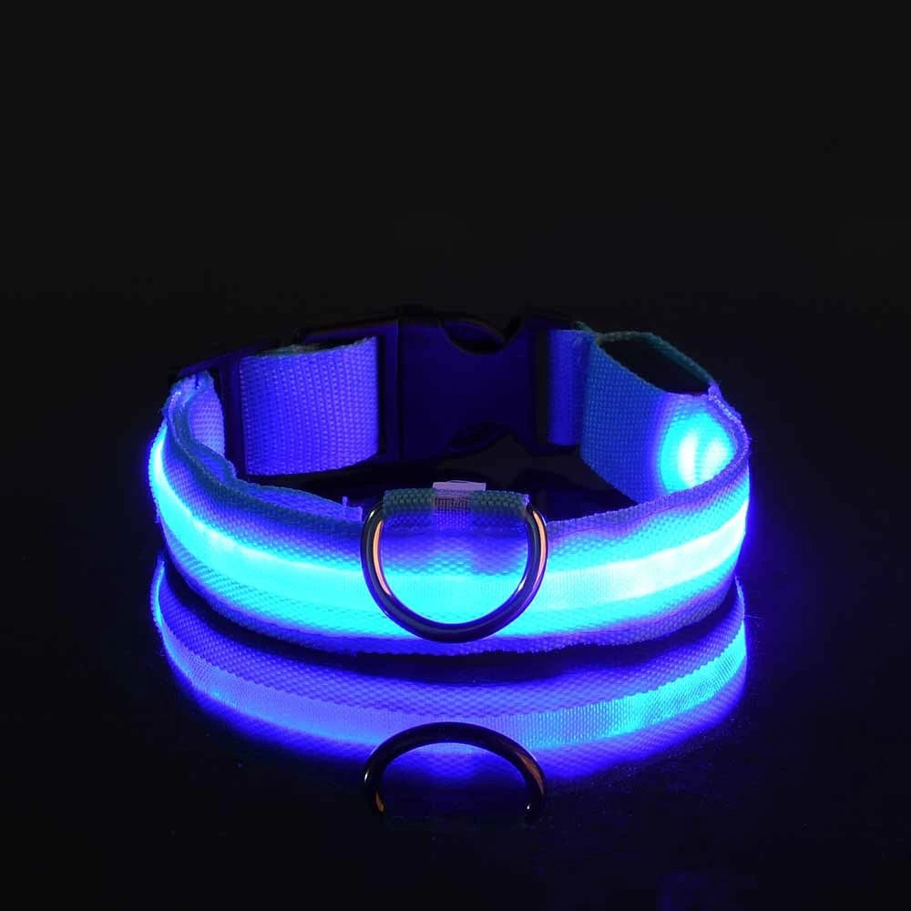 LED Dog Collar – Light-Up Night Safety Collar, Adjustable Nylon (XS–XL)