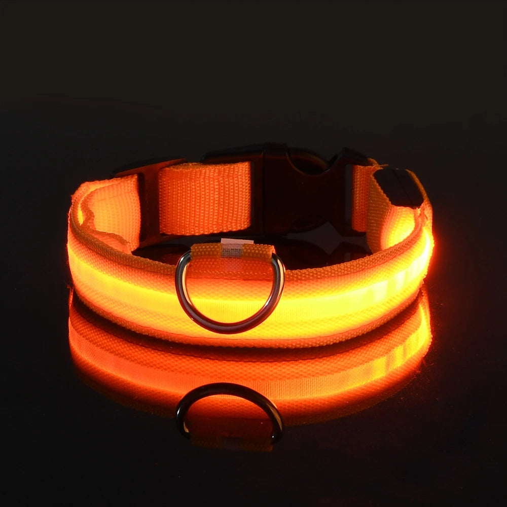 LED Dog Collar – Light-Up Night Safety Collar, Adjustable Nylon (XS–XL)