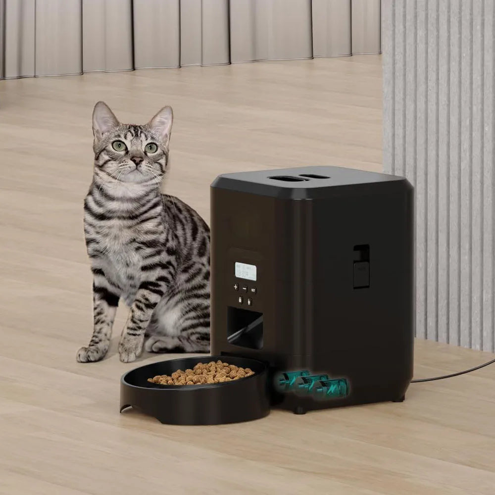 Cat sitting beside black automatic pet feeder on wooden floor