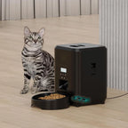 Cat sitting beside black automatic pet feeder on wooden floor