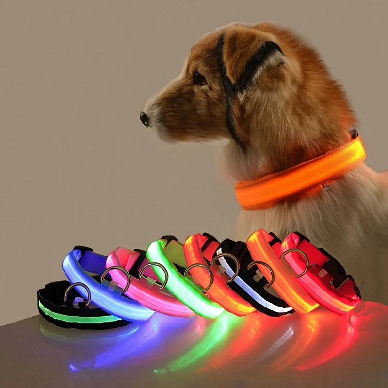 Dog wearing glowing orange LED collar with seven lit collar colors displayed