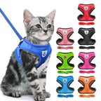 Kitten wearing blue mesh cat harness with leash; eight harness colors shown