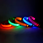 LED Dog Collar – Light-Up Night Safety Collar, Adjustable Nylon (XS–XL)