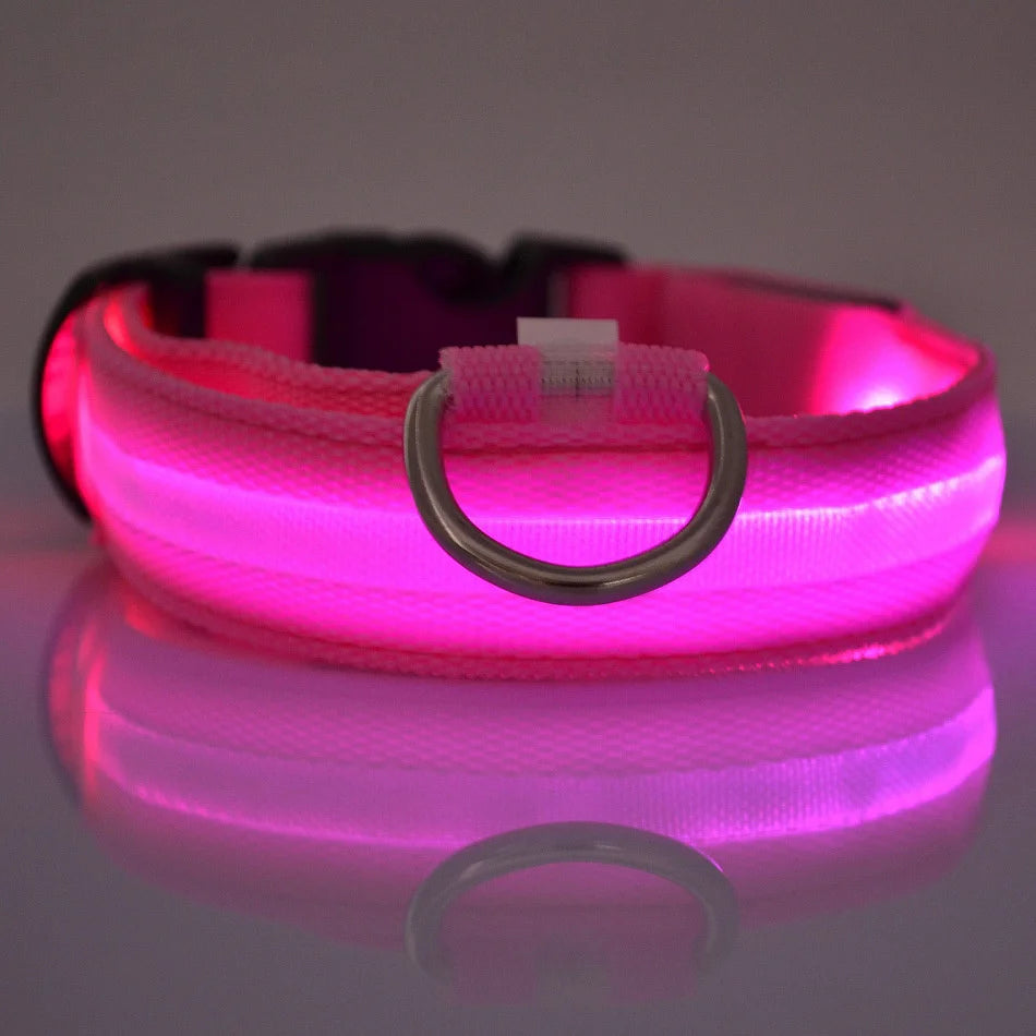 LED Dog Collar – Light-Up Night Safety Collar, Adjustable Nylon (XS–XL)