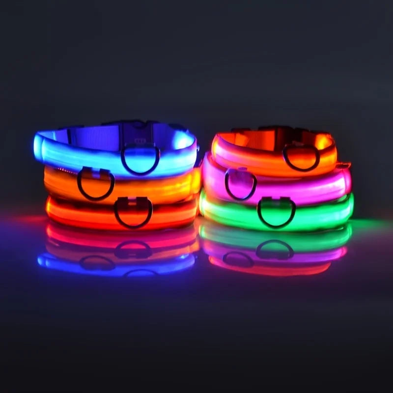LED Dog Collar – Light-Up Night Safety Collar, Adjustable Nylon (XS–XL)
