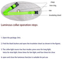 LED Dog Collar – Light-Up Night Safety Collar, Adjustable Nylon (XS–XL)
