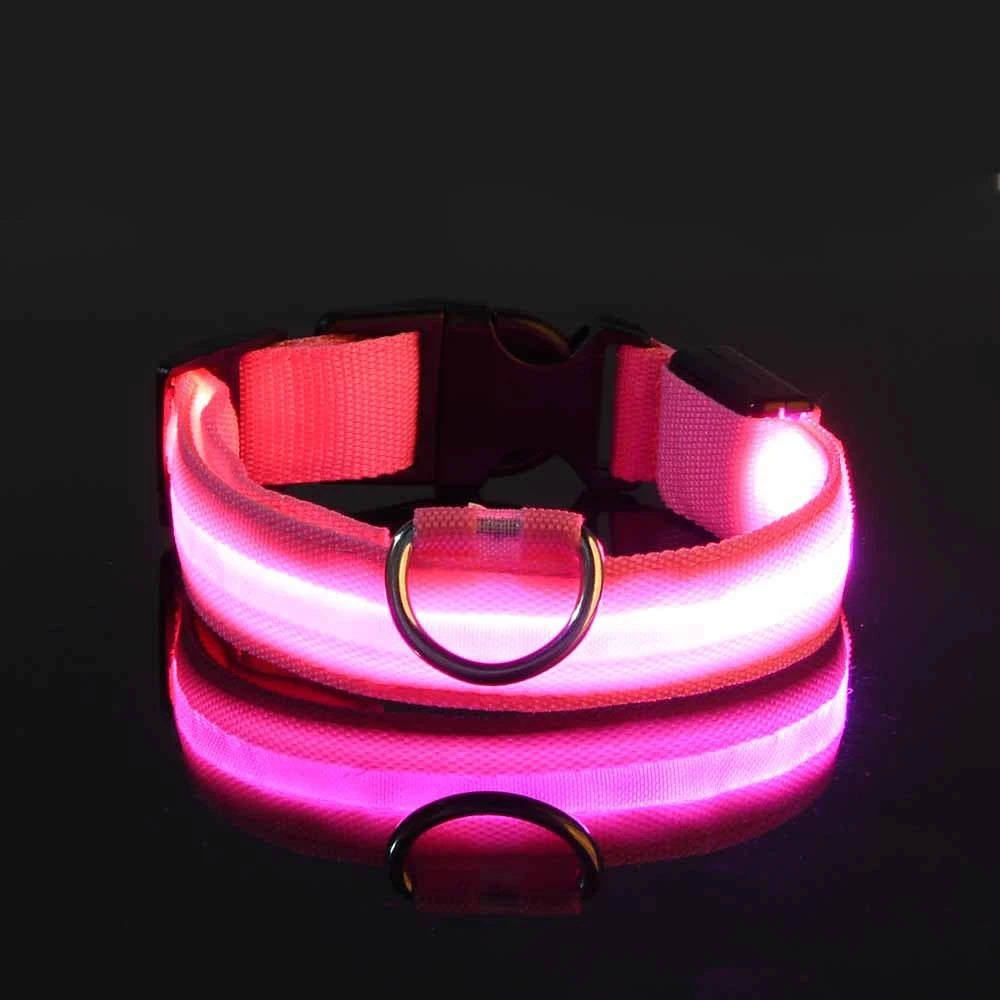 LED Dog Collar – Light-Up Night Safety Collar, Adjustable Nylon (XS–XL)