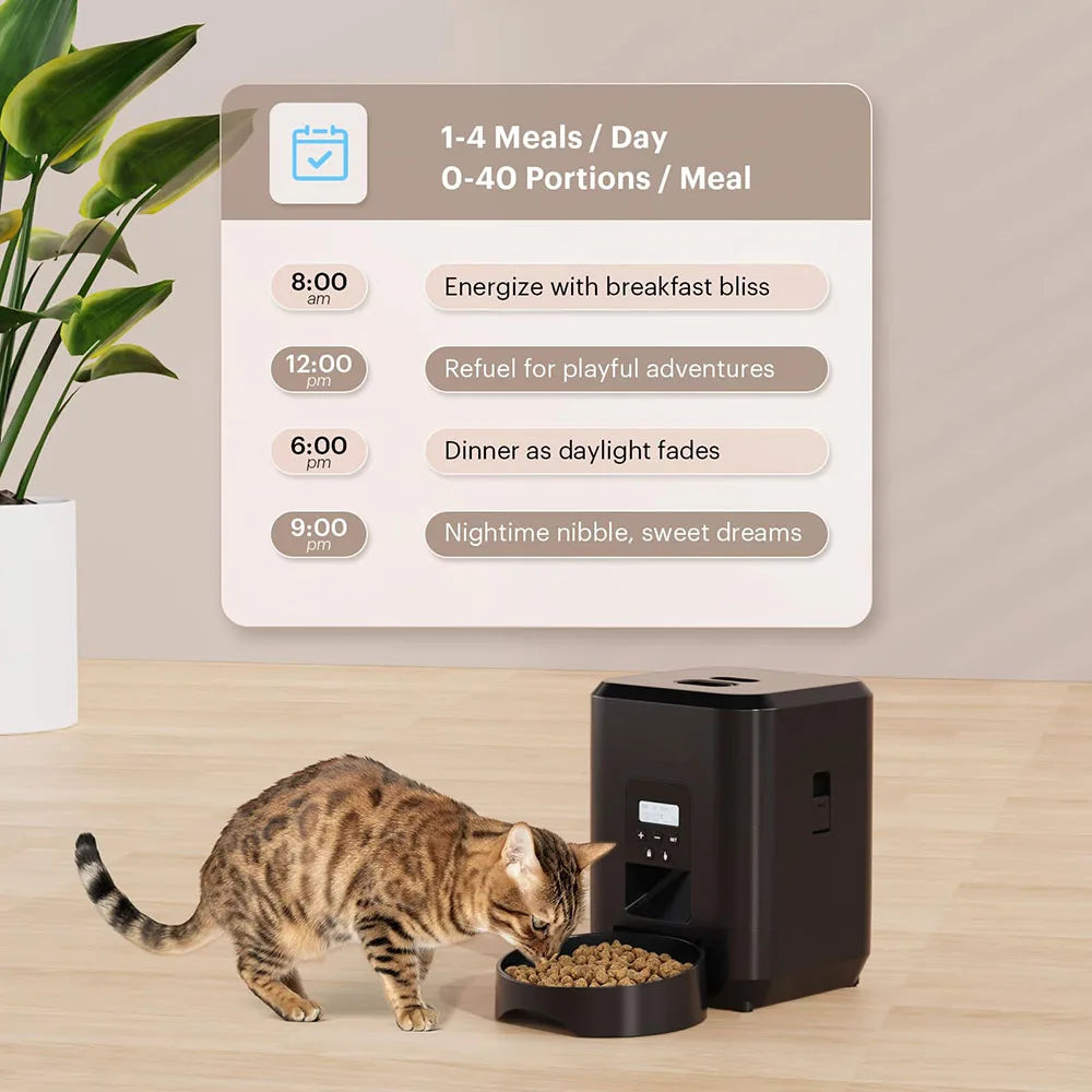 Feeding schedule infographic: up to 4 meals per day and 0-40 portions per meal