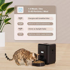 Feeding schedule infographic: up to 4 meals per day and 0-40 portions per meal