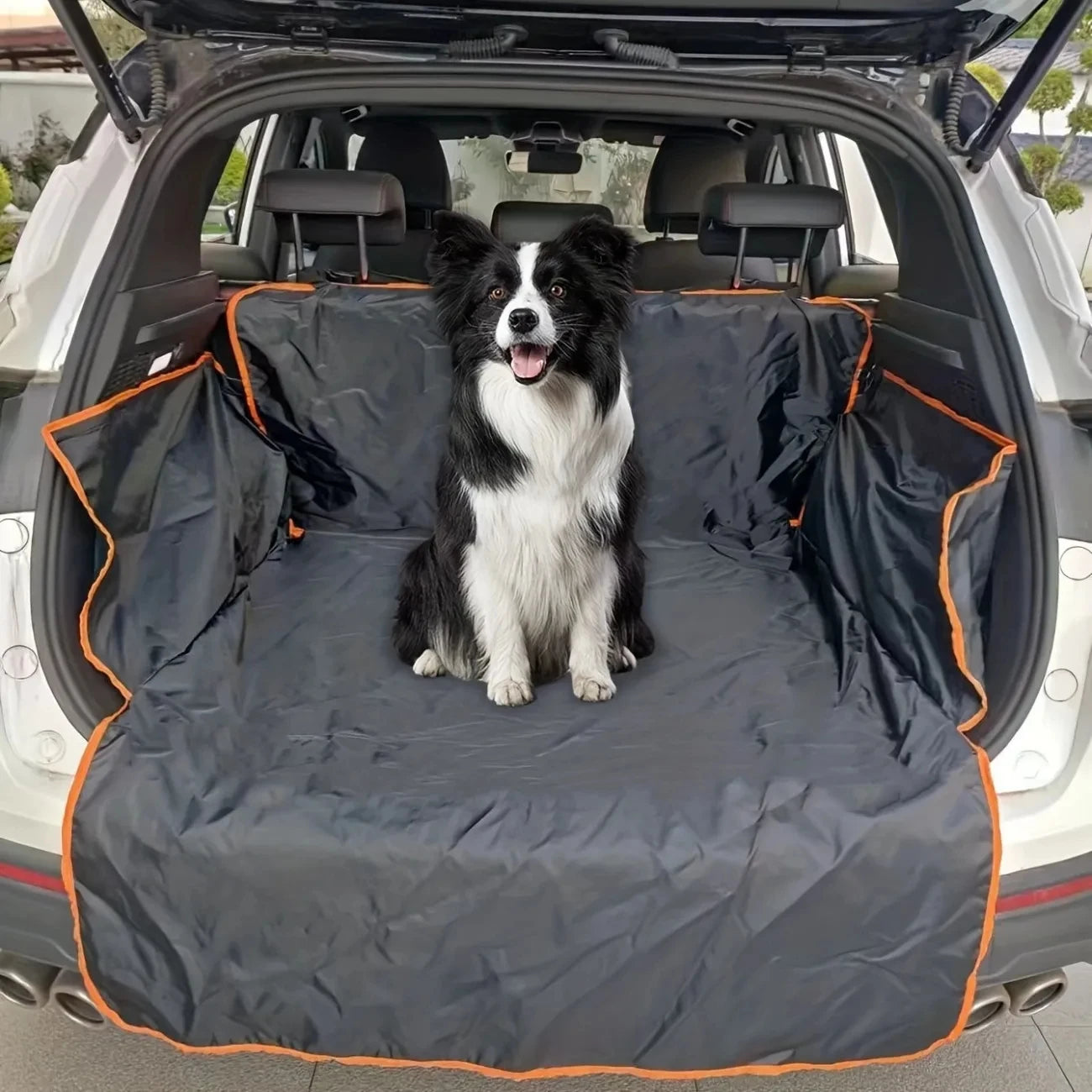 Border Collie sitting on black waterproof SUV cargo liner in car trunk